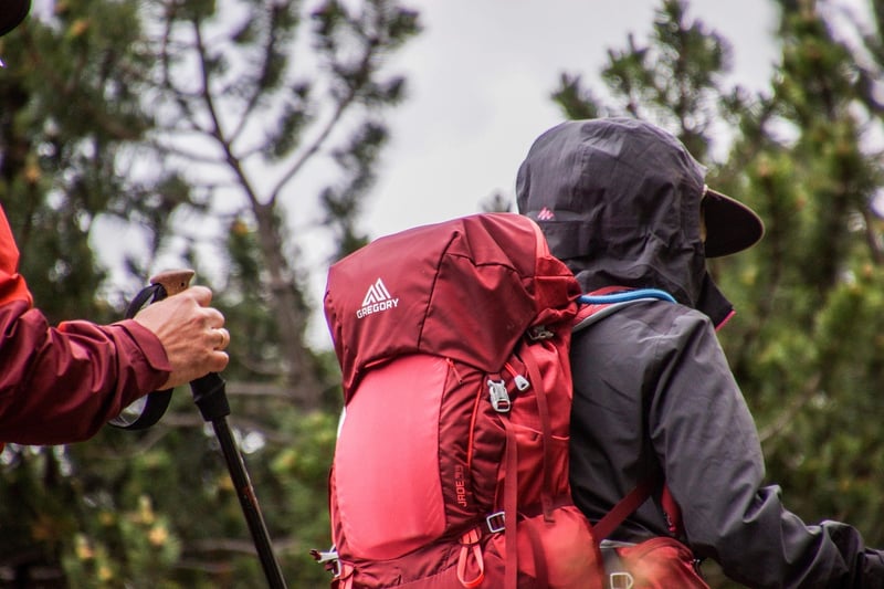 Hiking backpack